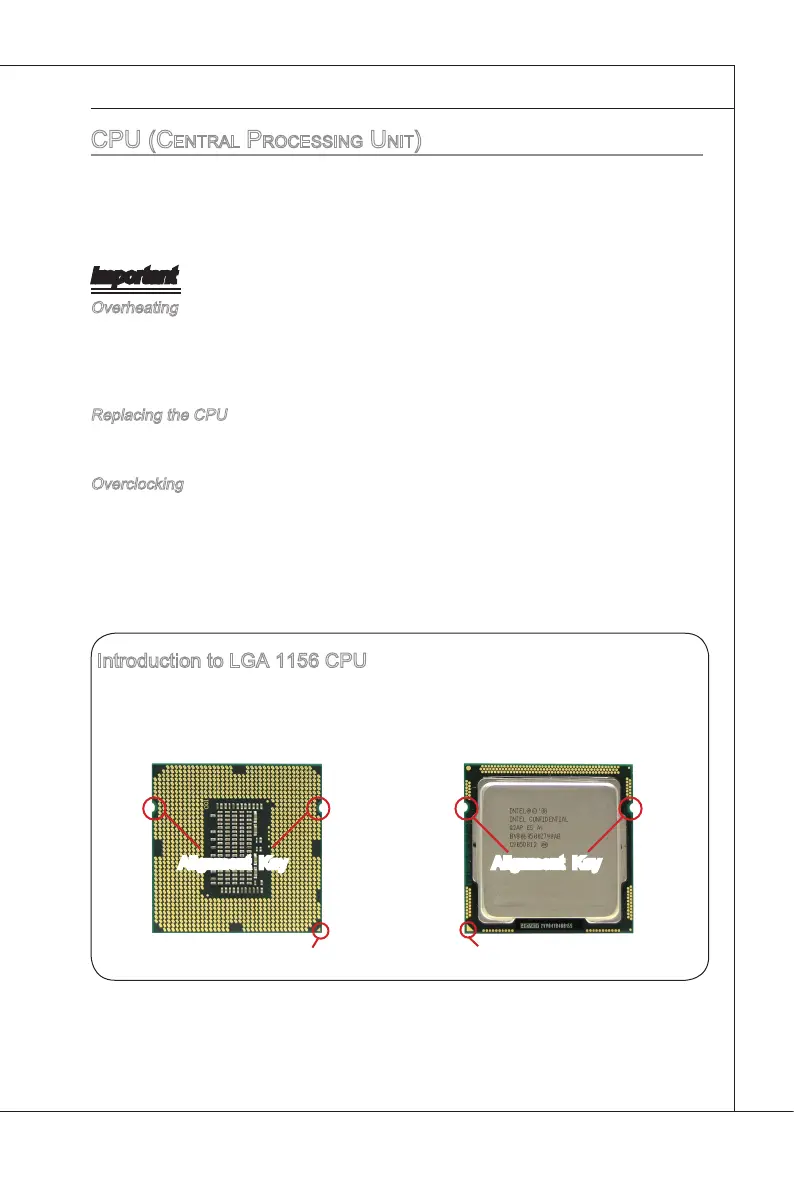 Page #19 background image