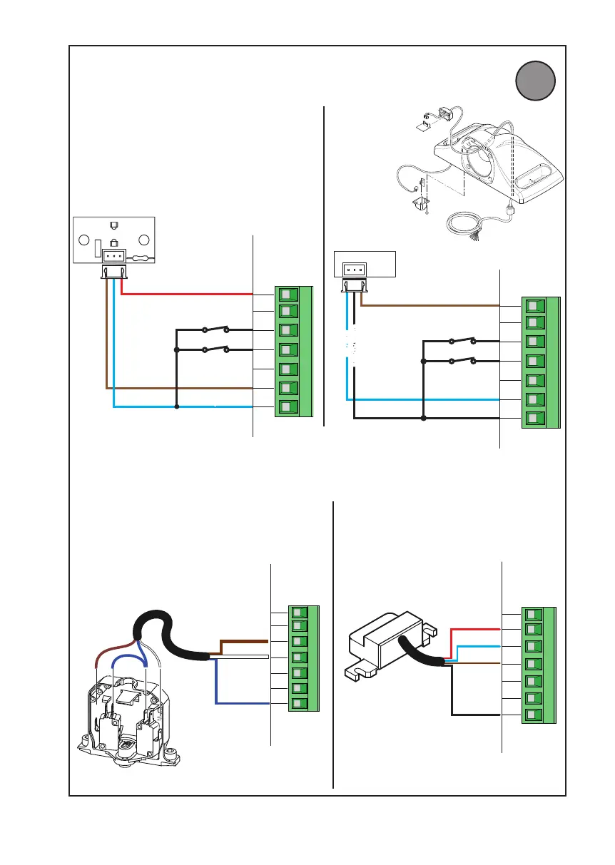 Page #9 background image