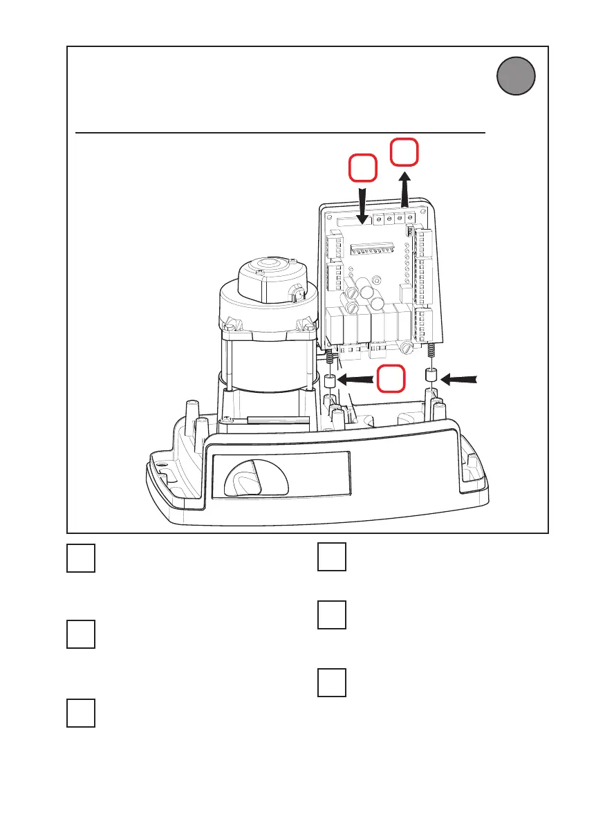 Page #13 background image