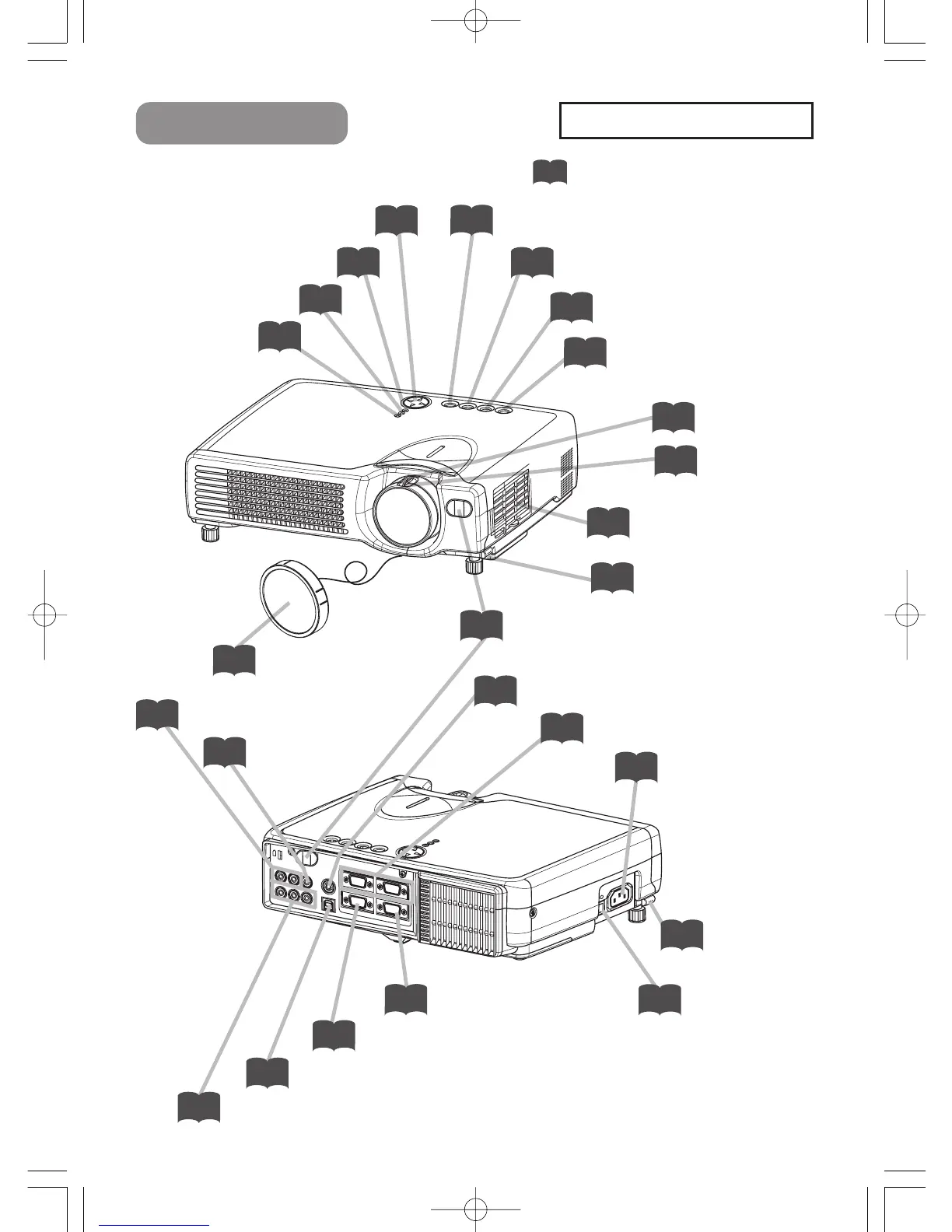 Page #5 background image