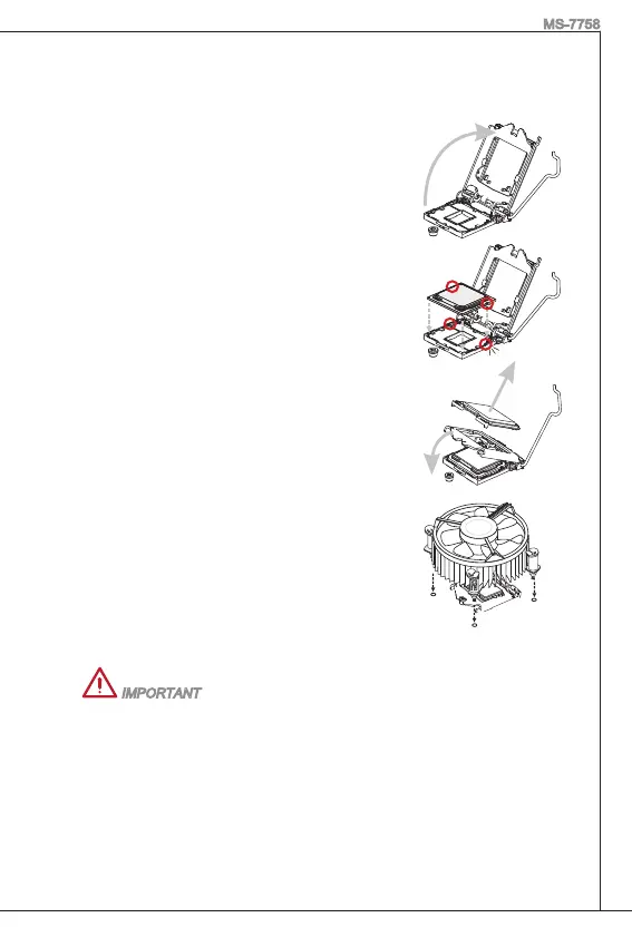 Page #17 background image