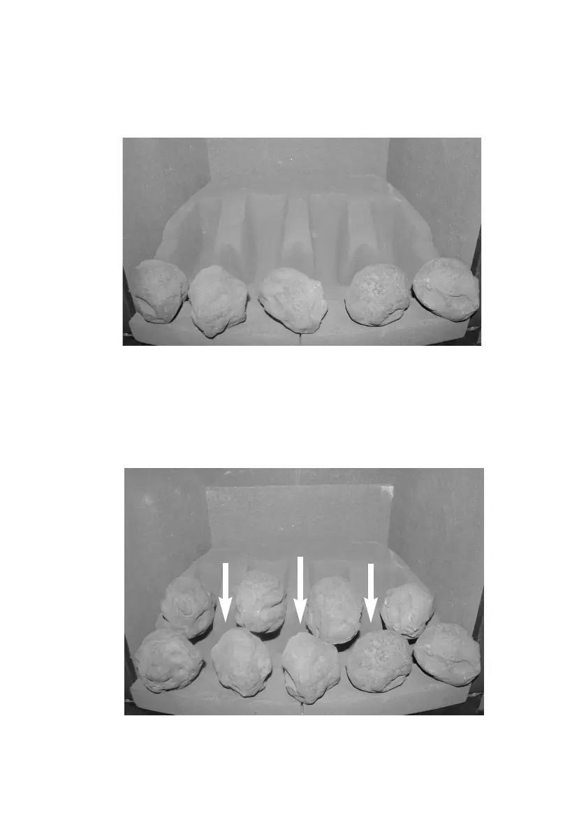 Page #21 background image