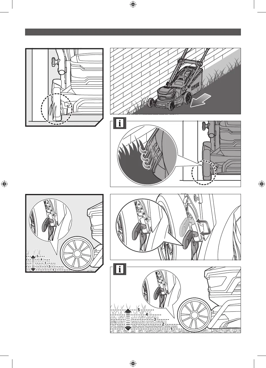 Page #19 background image