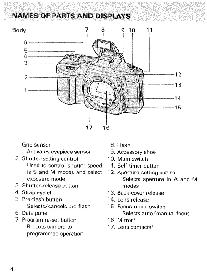 Page #6 background image
