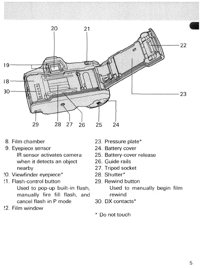 Page #7 background image
