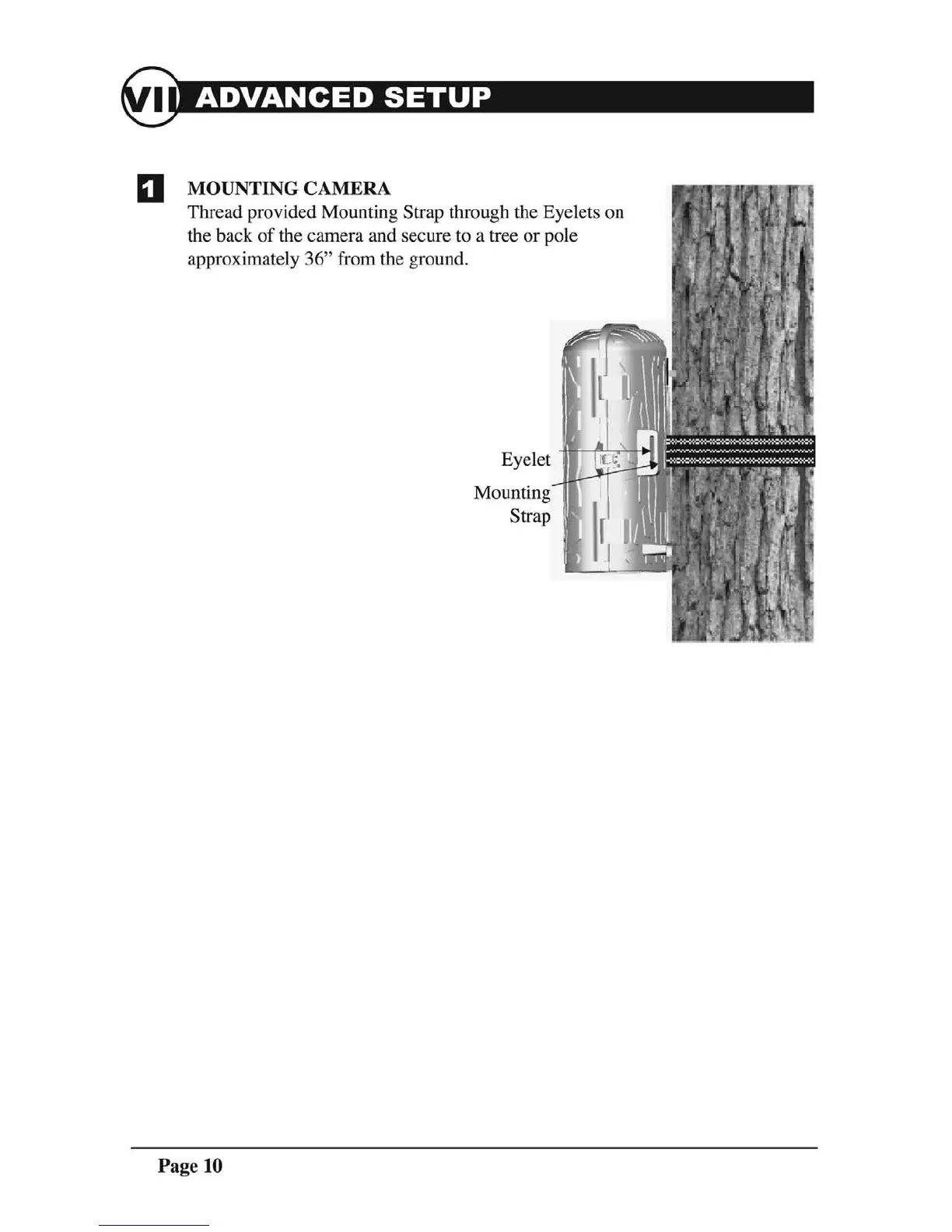 Page #10 background image