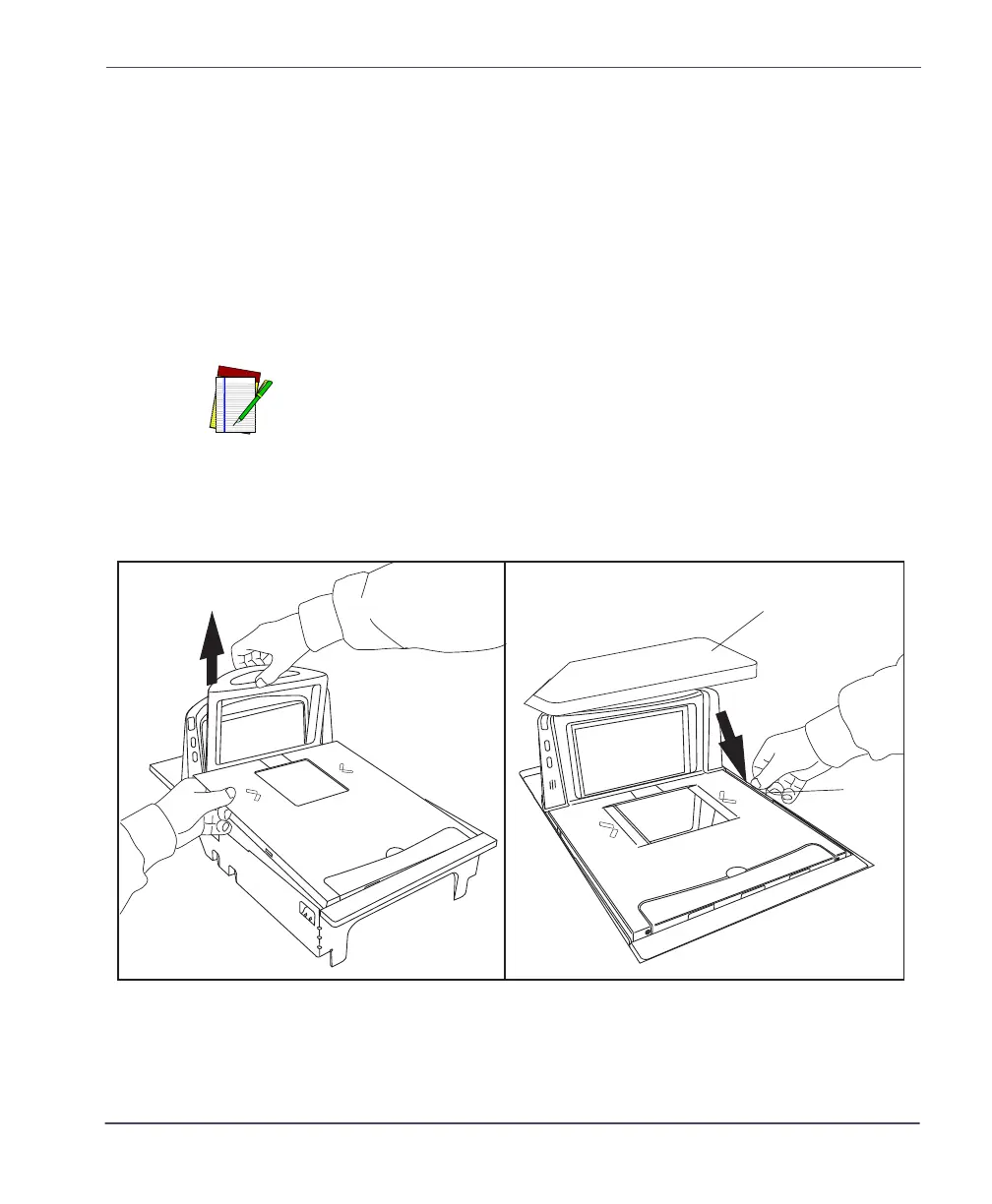 Page #43 background image
