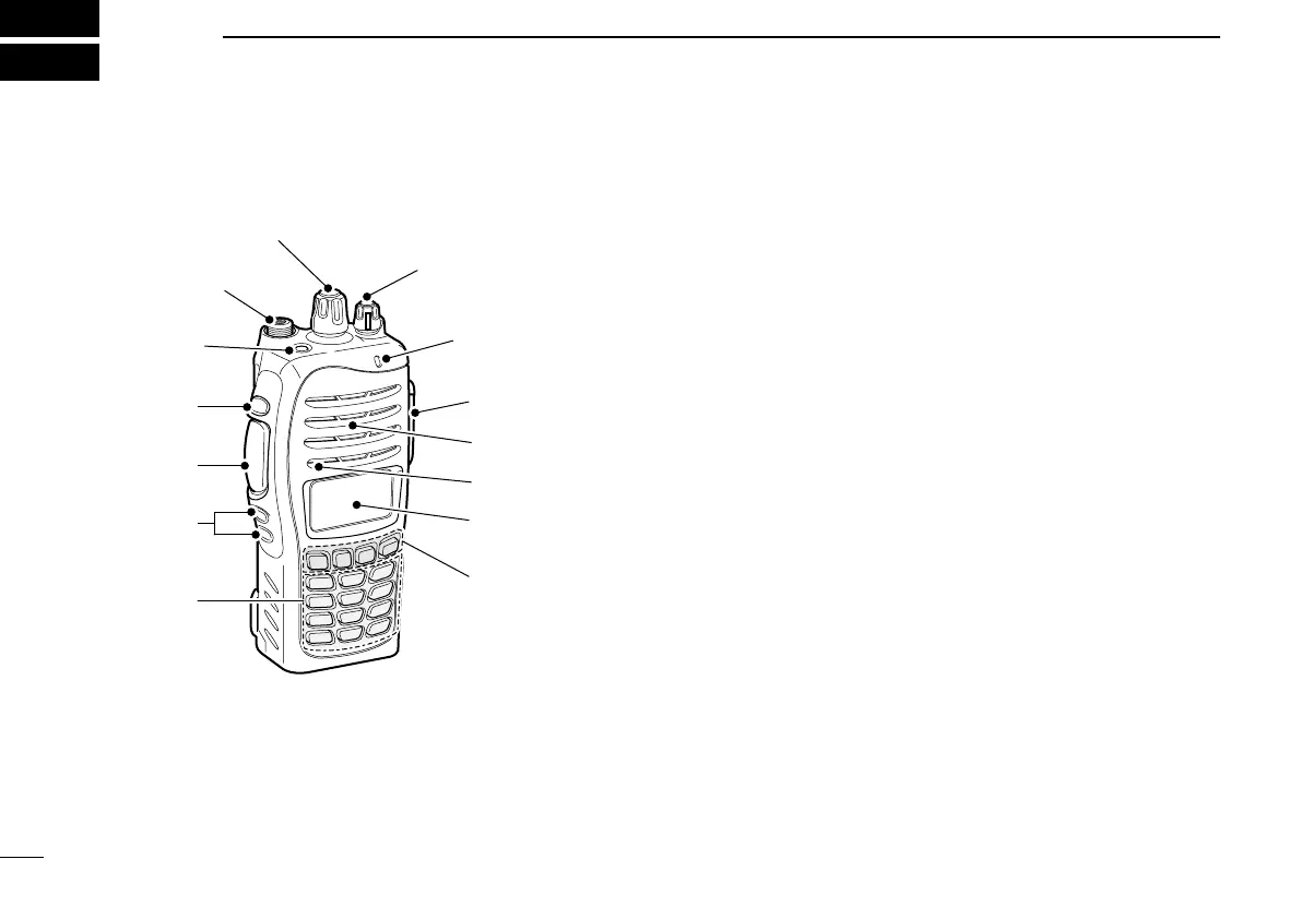 Page #8 background image