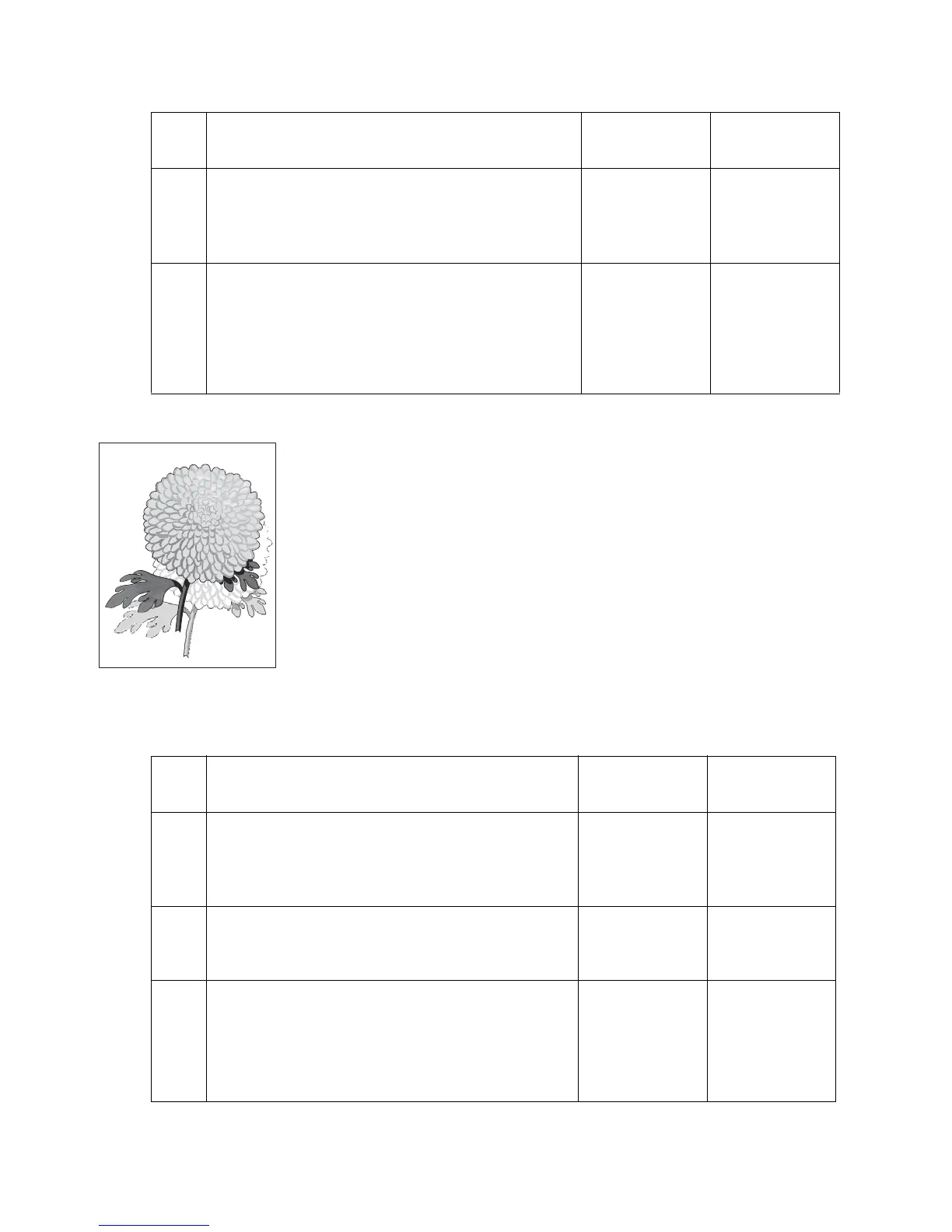 Page #338 background image