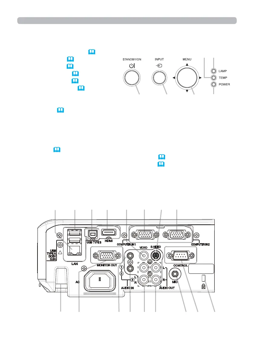 Page #5 background image