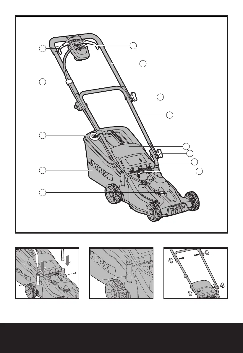 Page #3 background image
