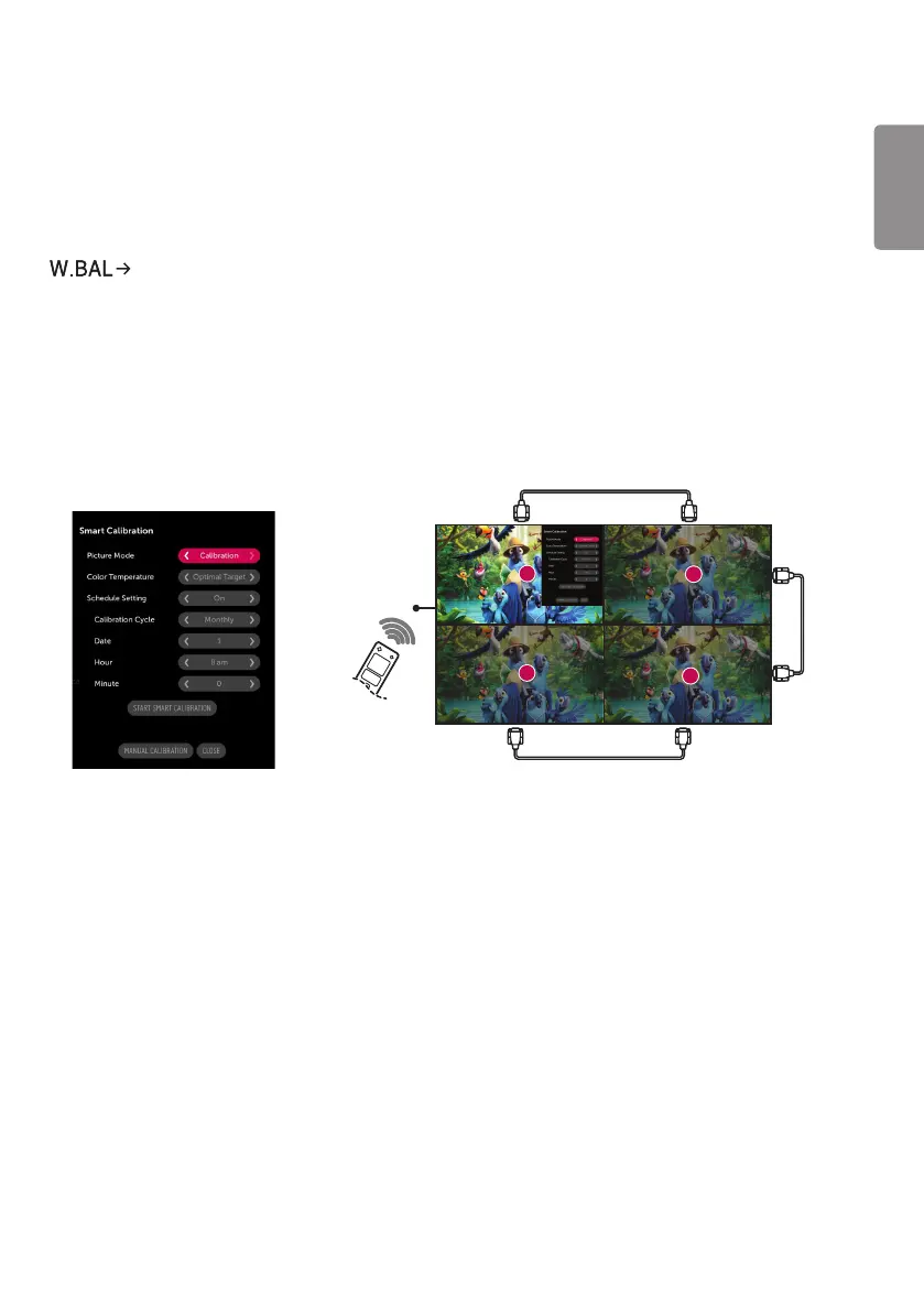Page #111 background image