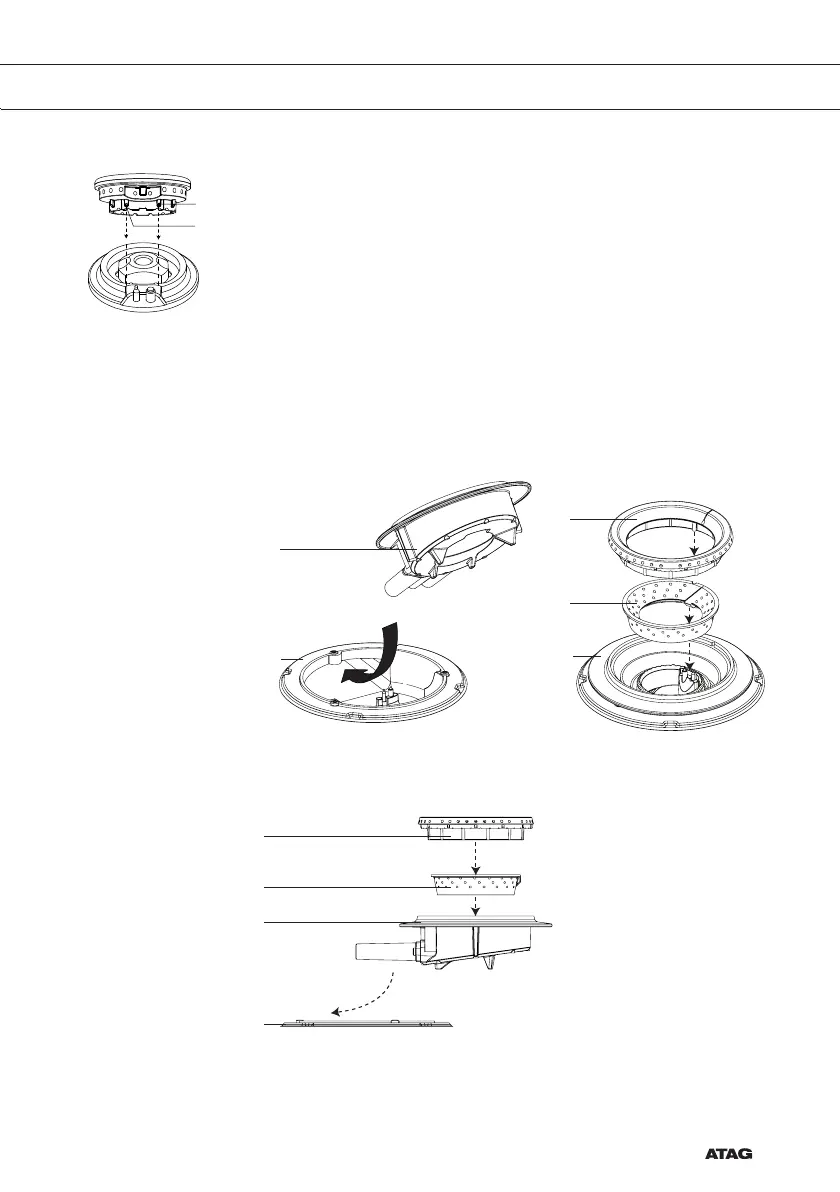 Page #21 background image