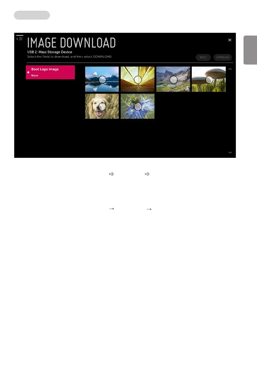 Page #21 background image