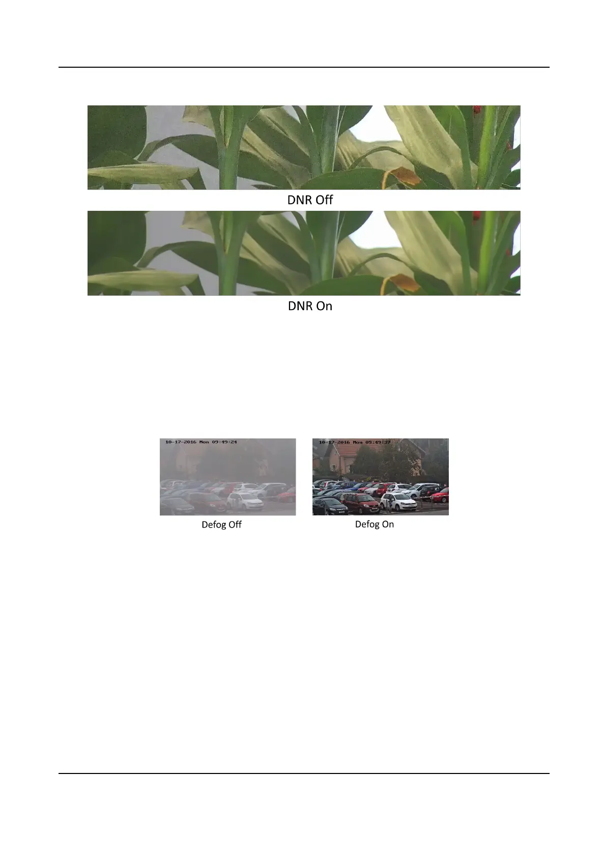 Page #52 background image