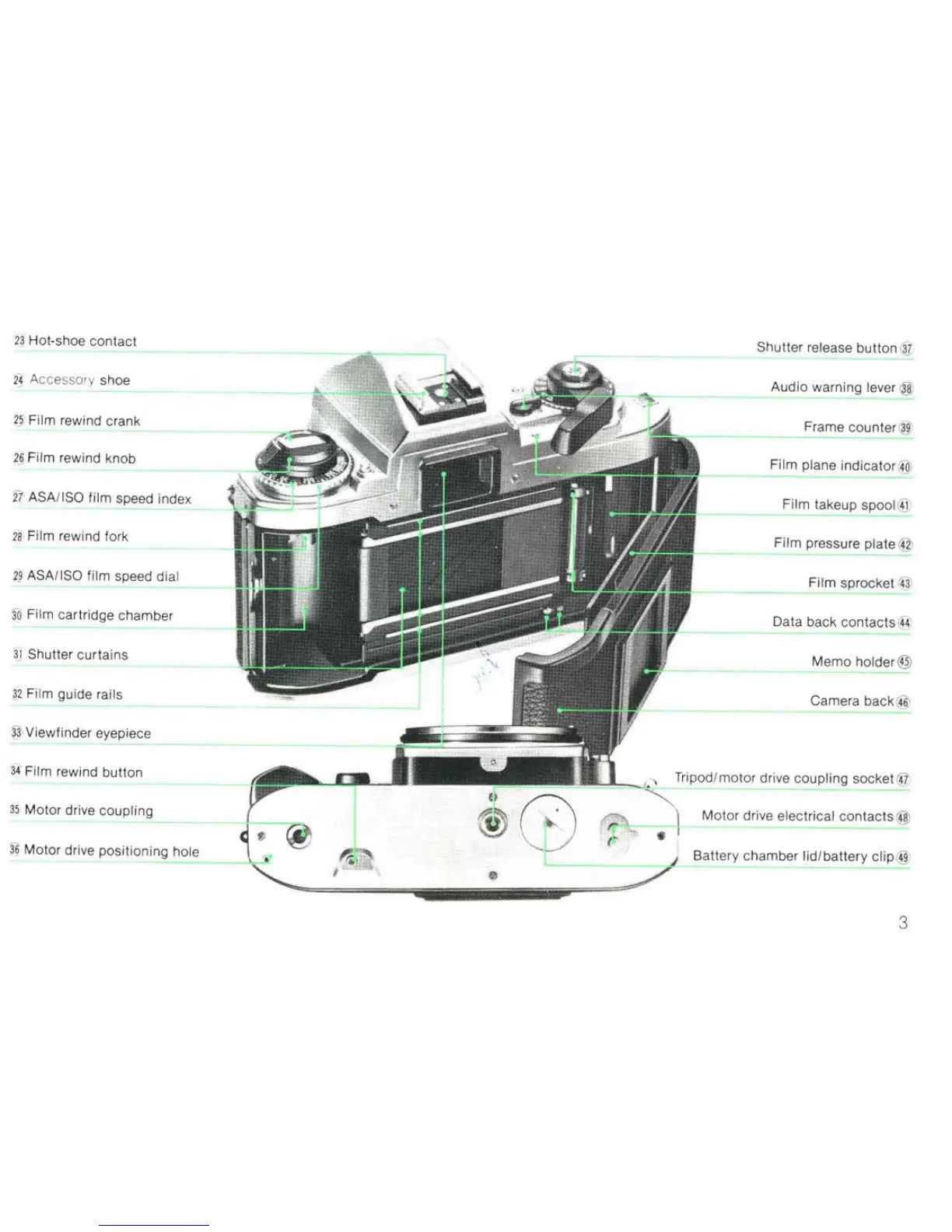 Page #3 background image