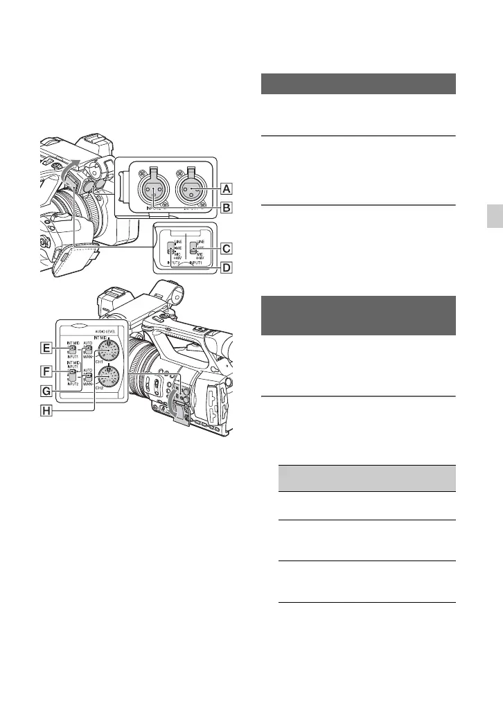 Page #43 background image