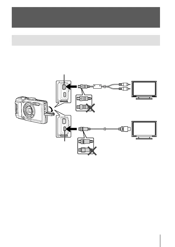 Page #73 background image