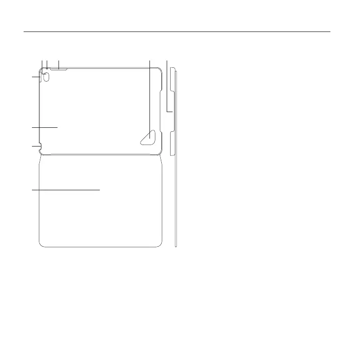 Page #8 background image