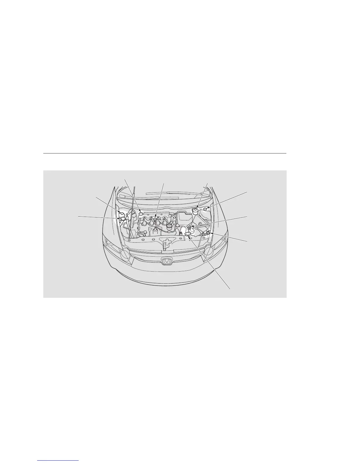 Page #304 background image