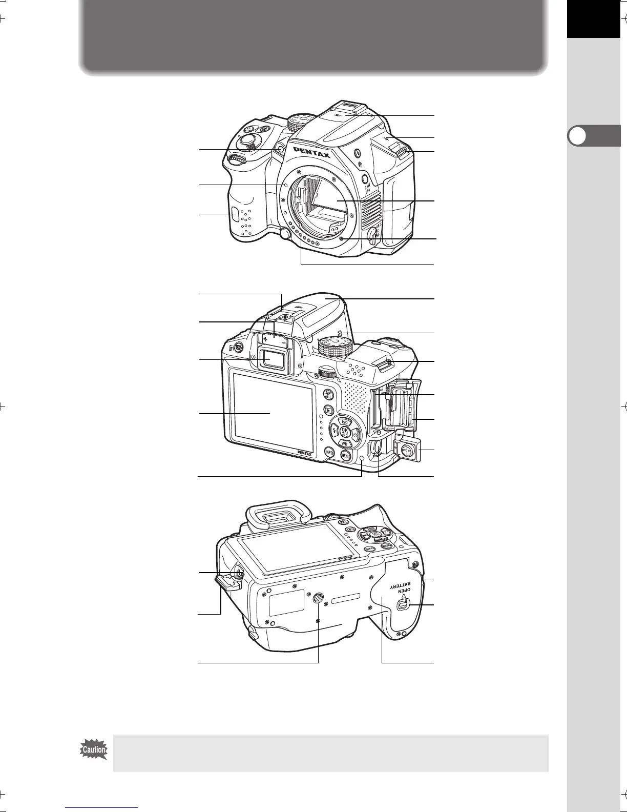 Page #19 background image