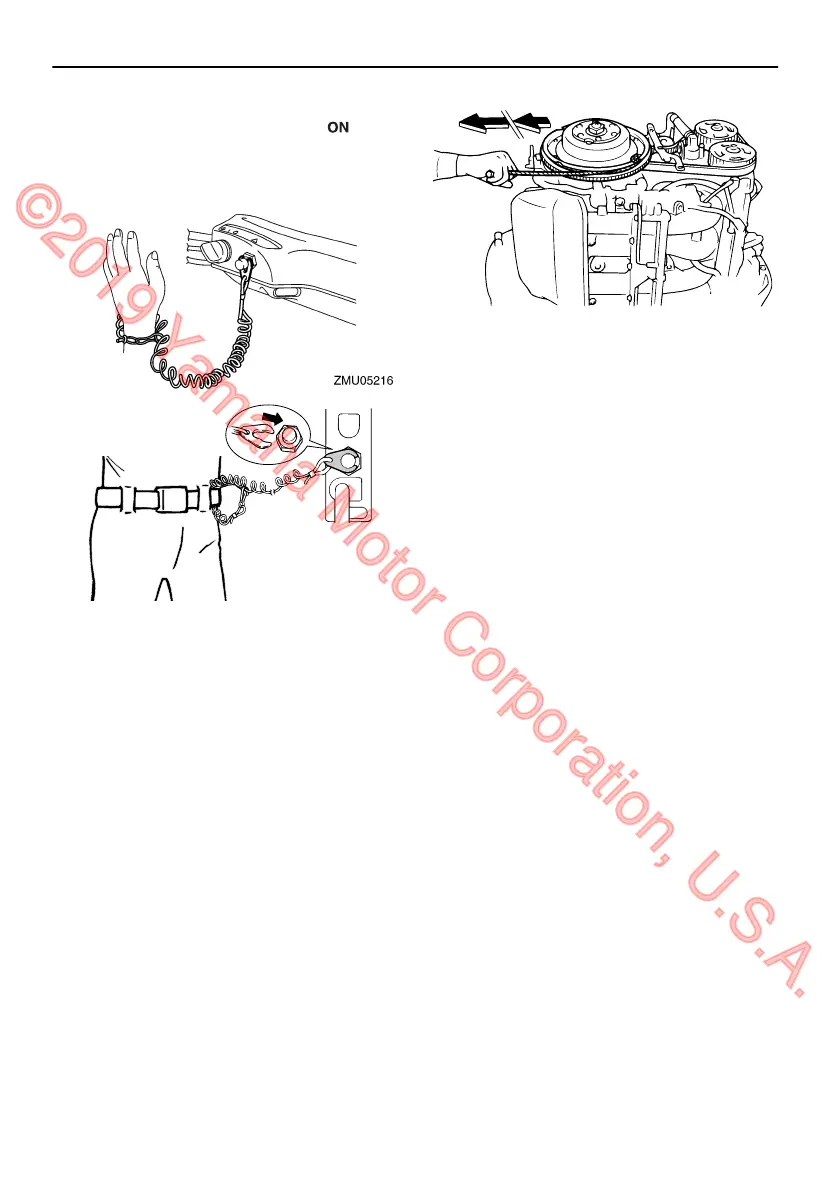 Page #225 background image