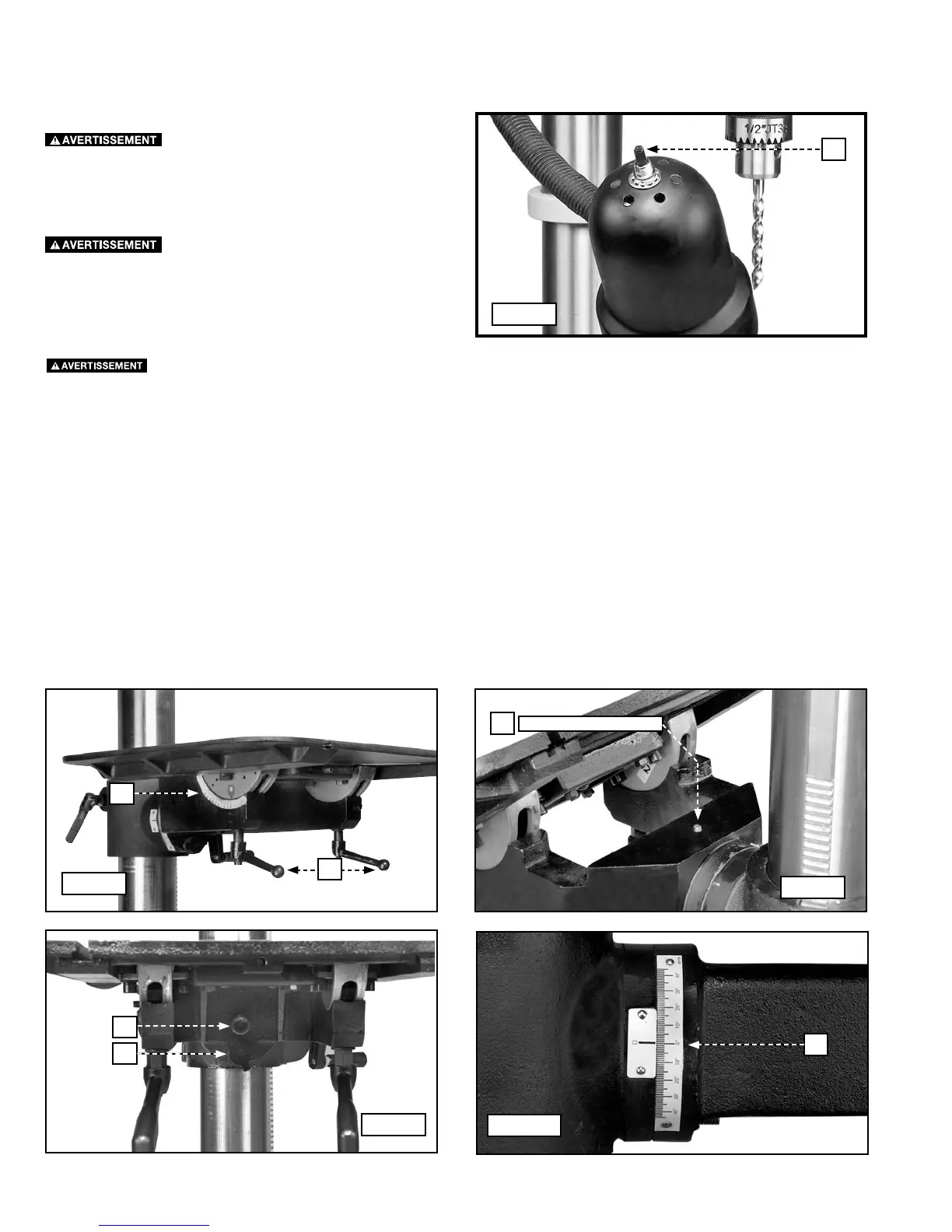 Page #36 background image