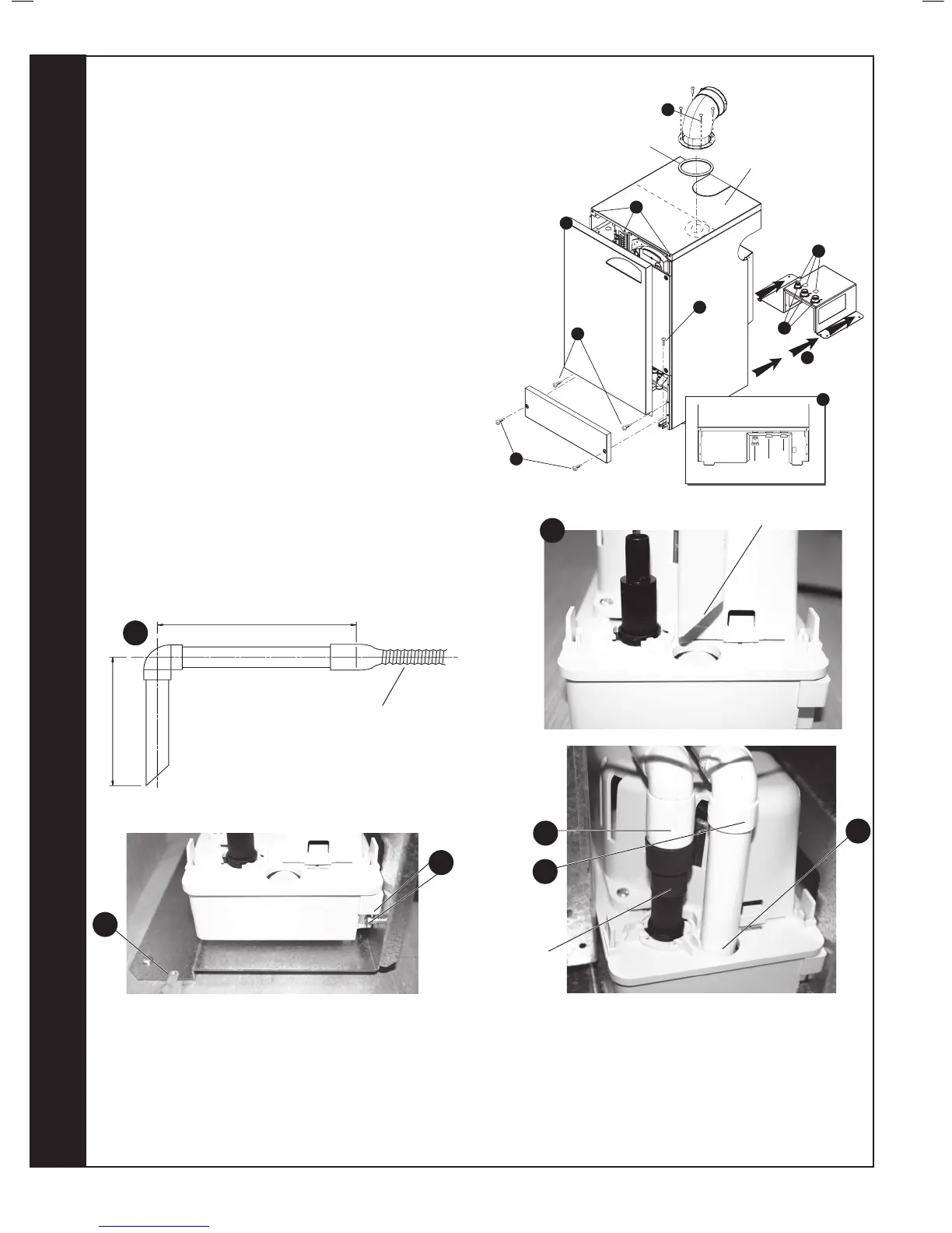 Page #20 background image