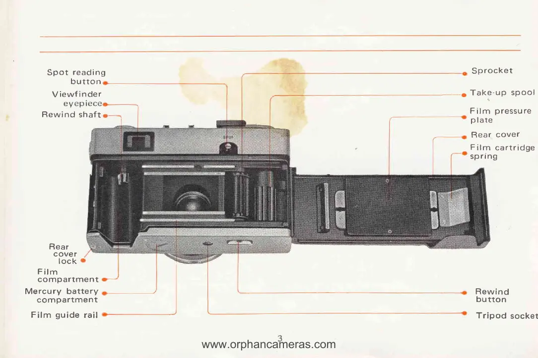 Page #5 background image