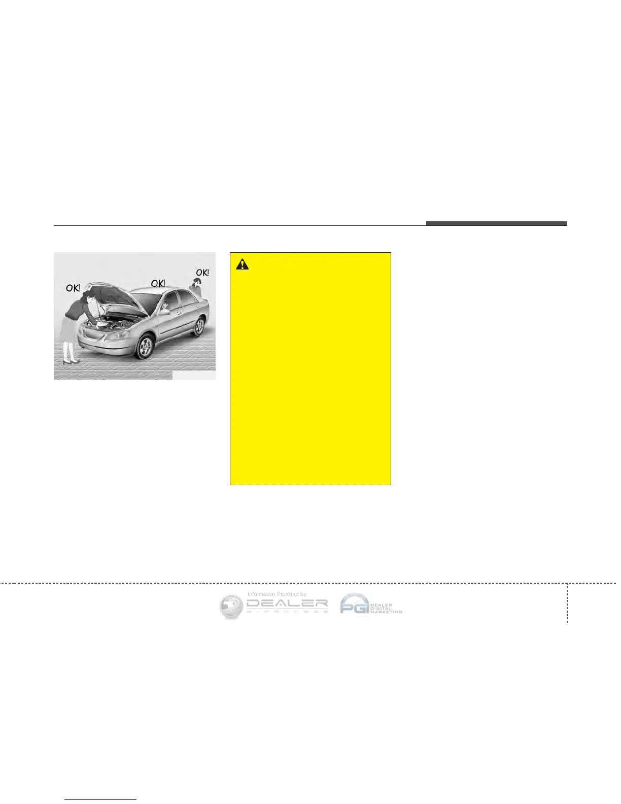 Page #235 background image