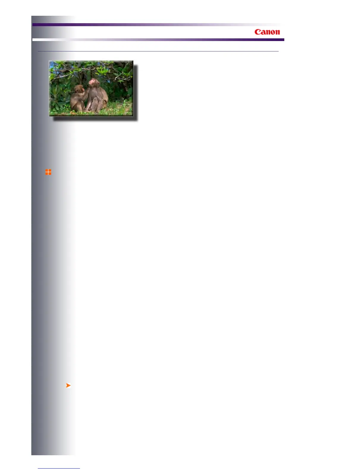 Page #495 background image