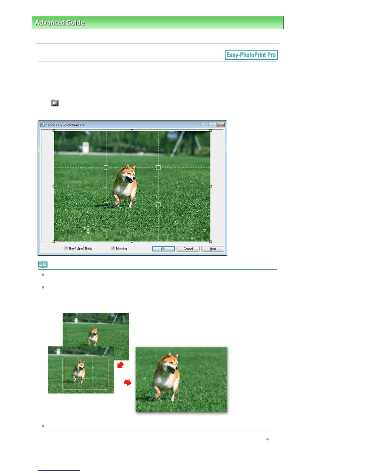 Page #254 background image