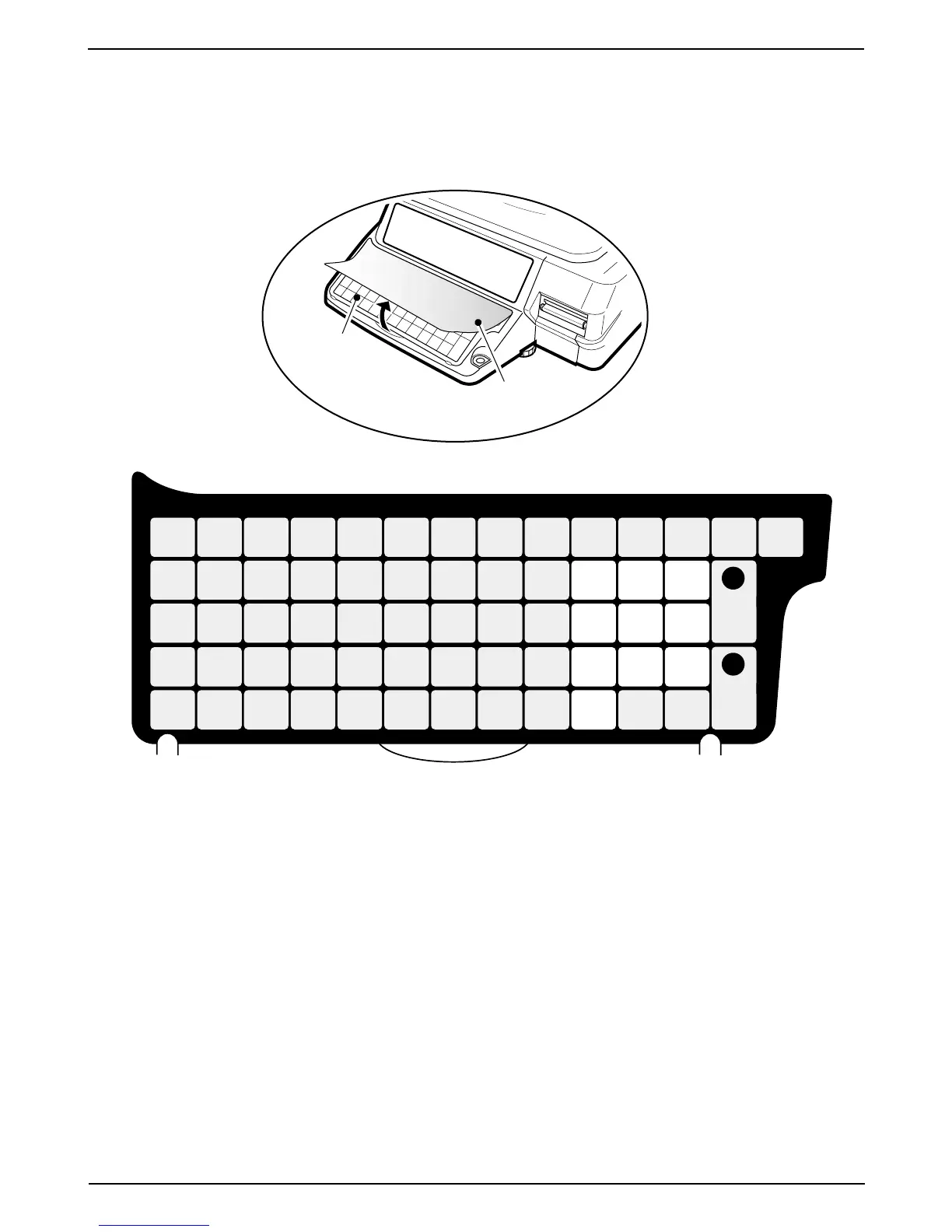 Page #14 background image