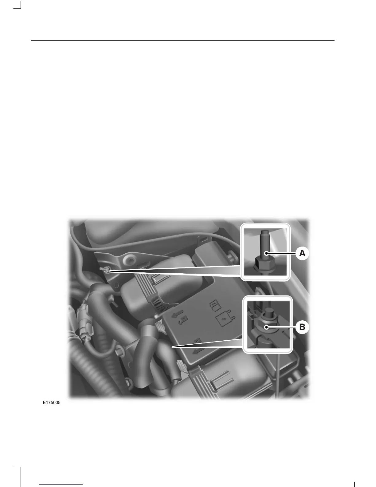 Page #233 background image
