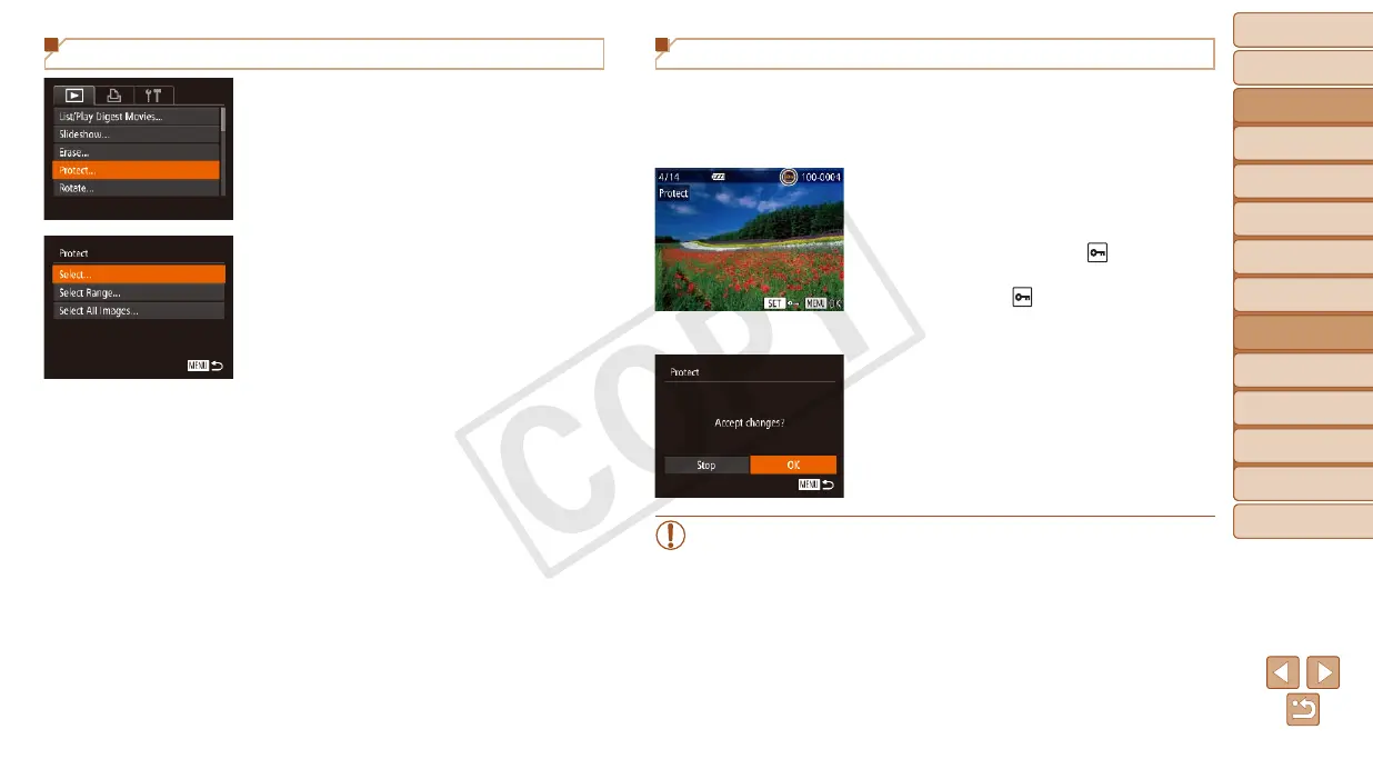 Page #99 background image