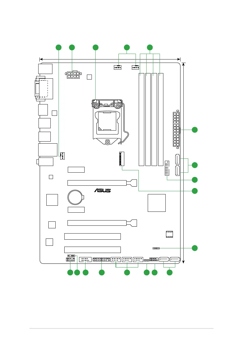 Page #13 background image