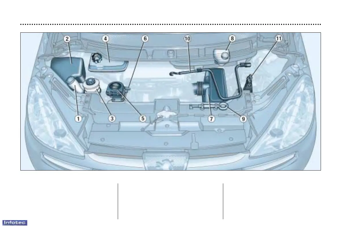 Page #135 background image