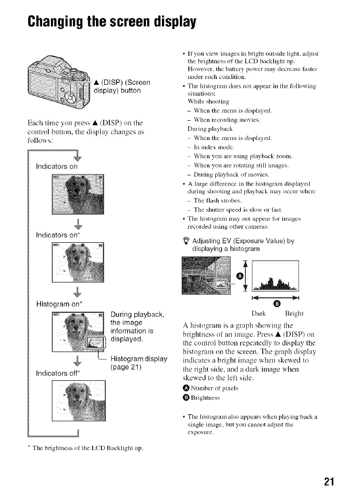 Page #21 background image