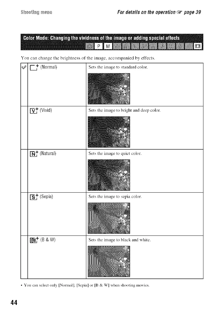 Page #44 background image