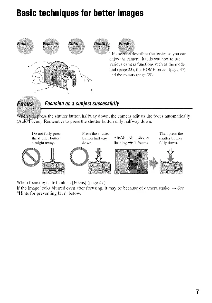 Page #7 background image