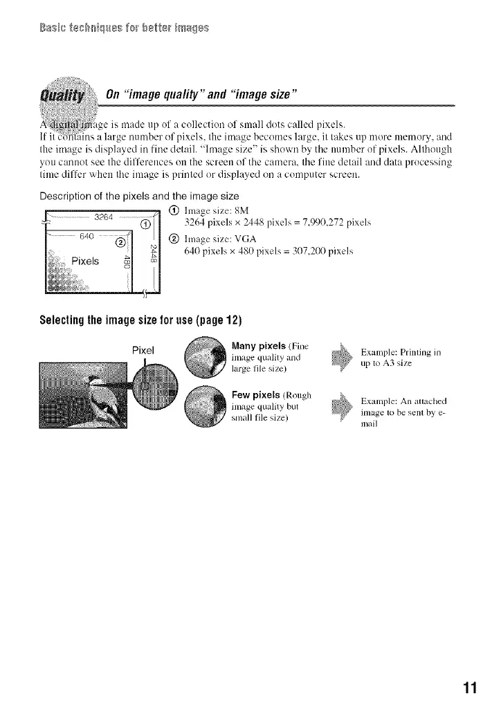 Page #11 background image