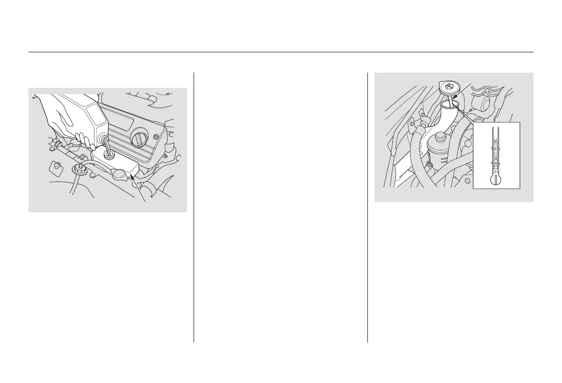 Page #241 background image