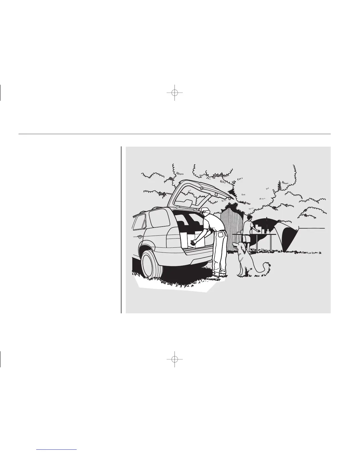 Page #244 background image