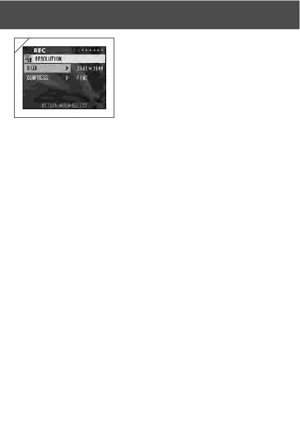 Page #45 background image