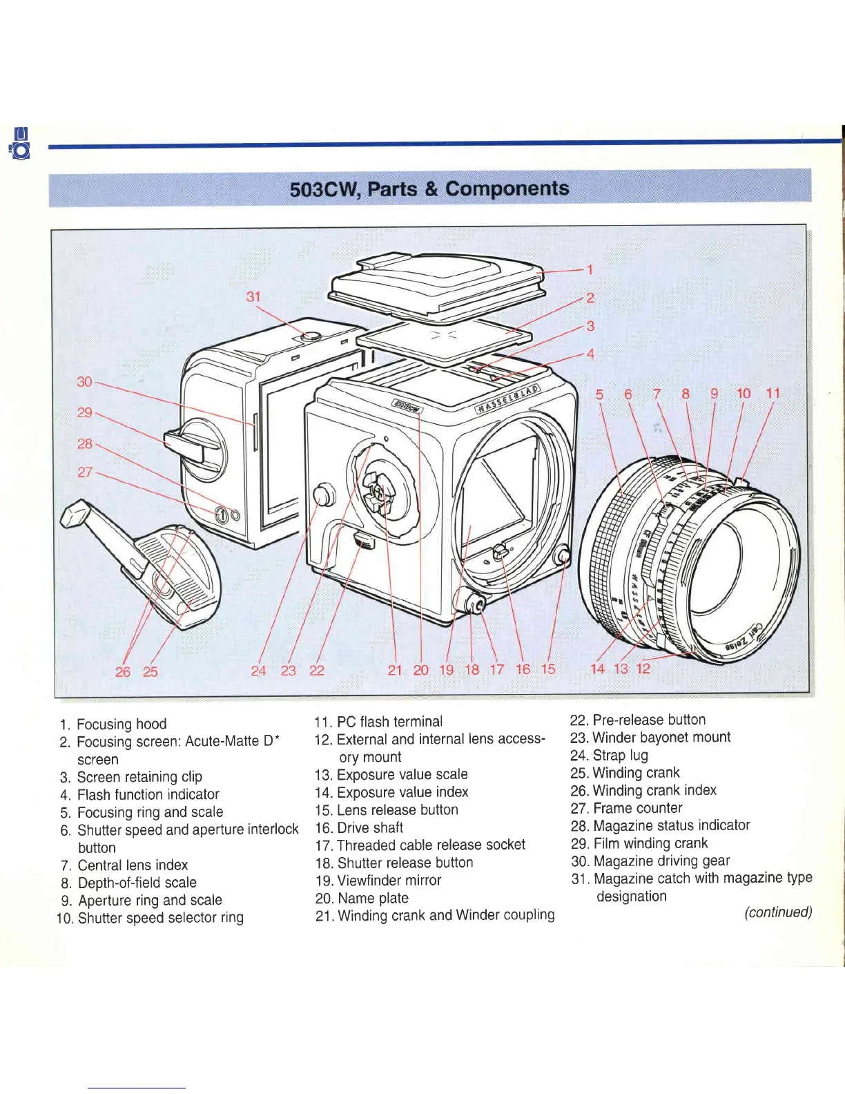 Page #3 background image
