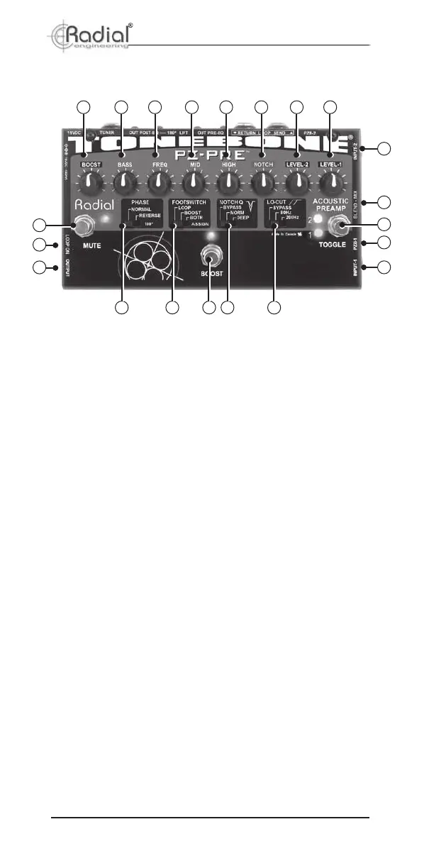 Page #4 background image