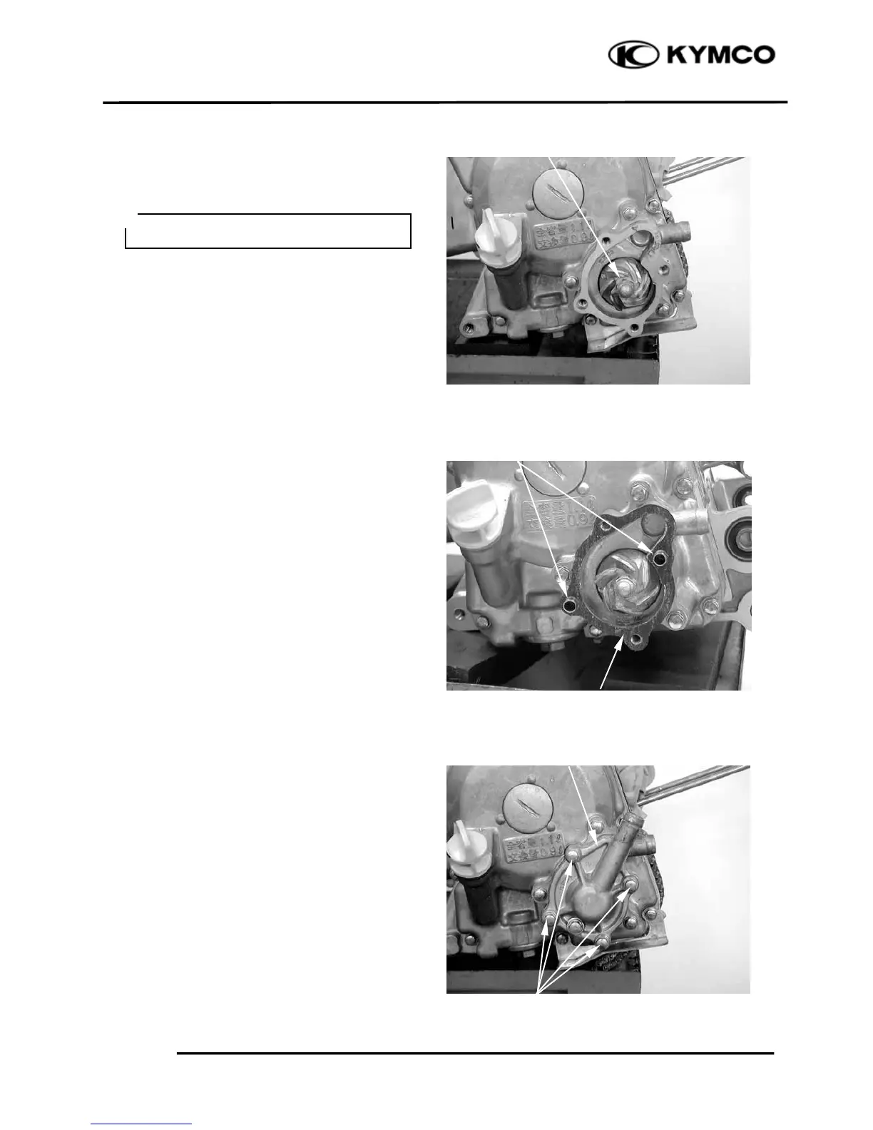 Page #261 background image