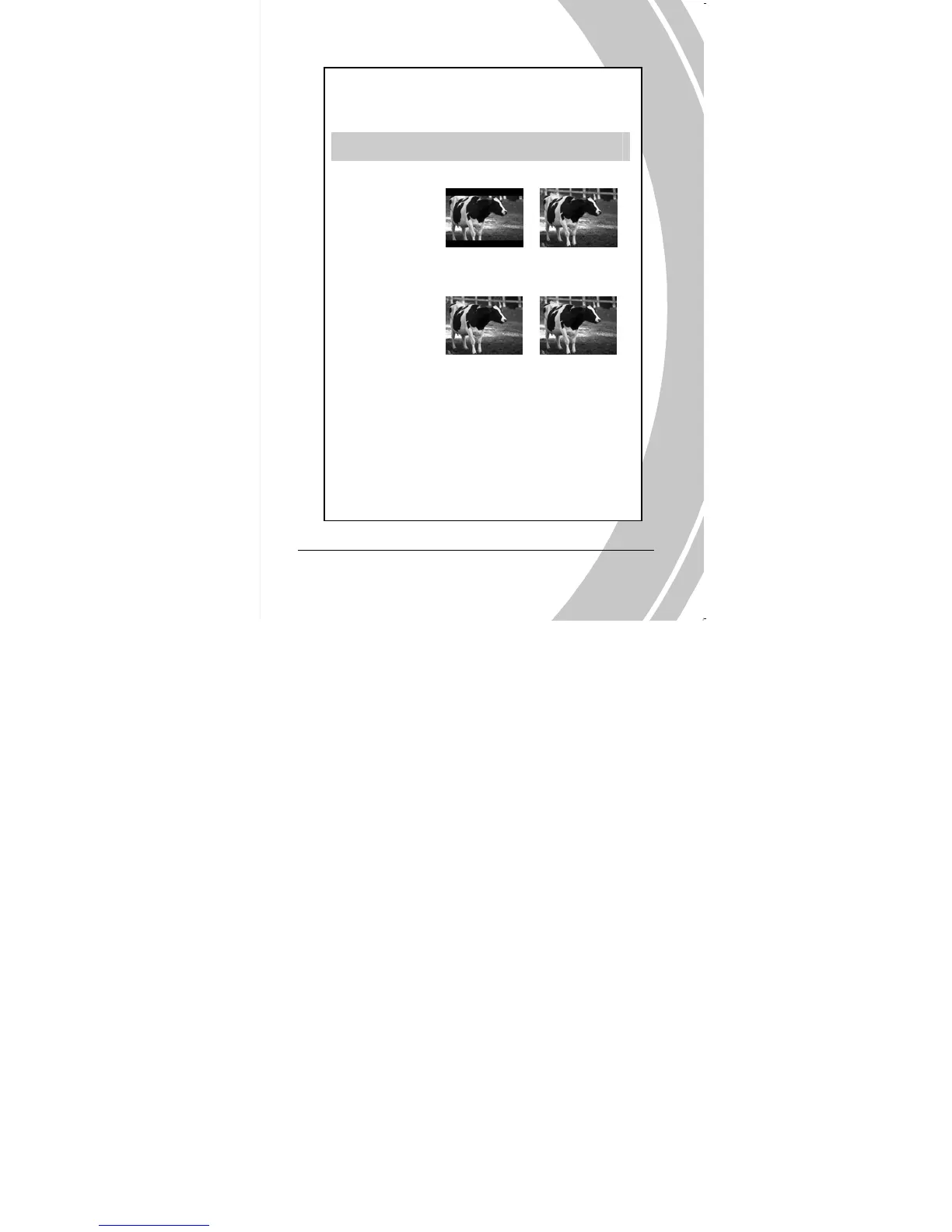 Page #31 background image