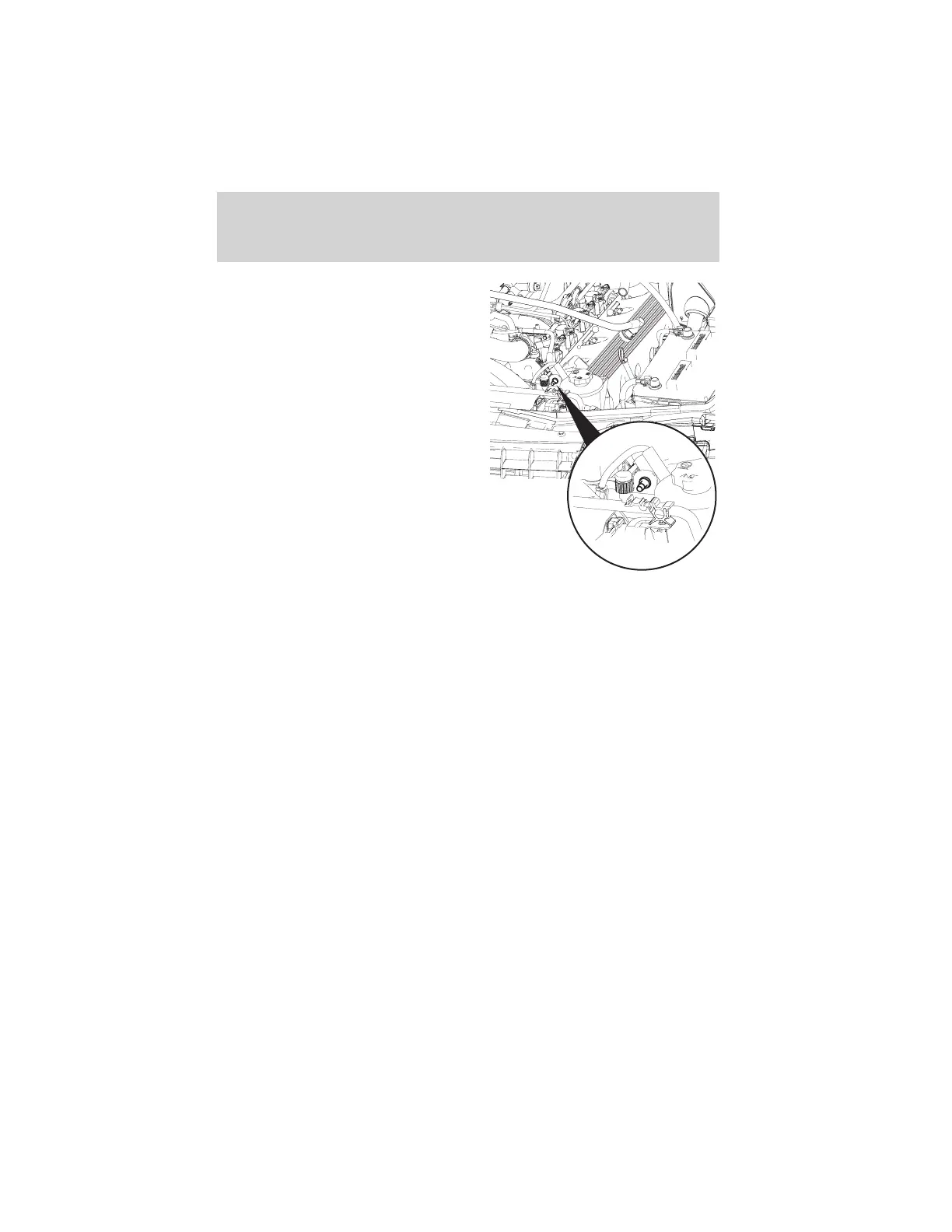 Page #218 background image