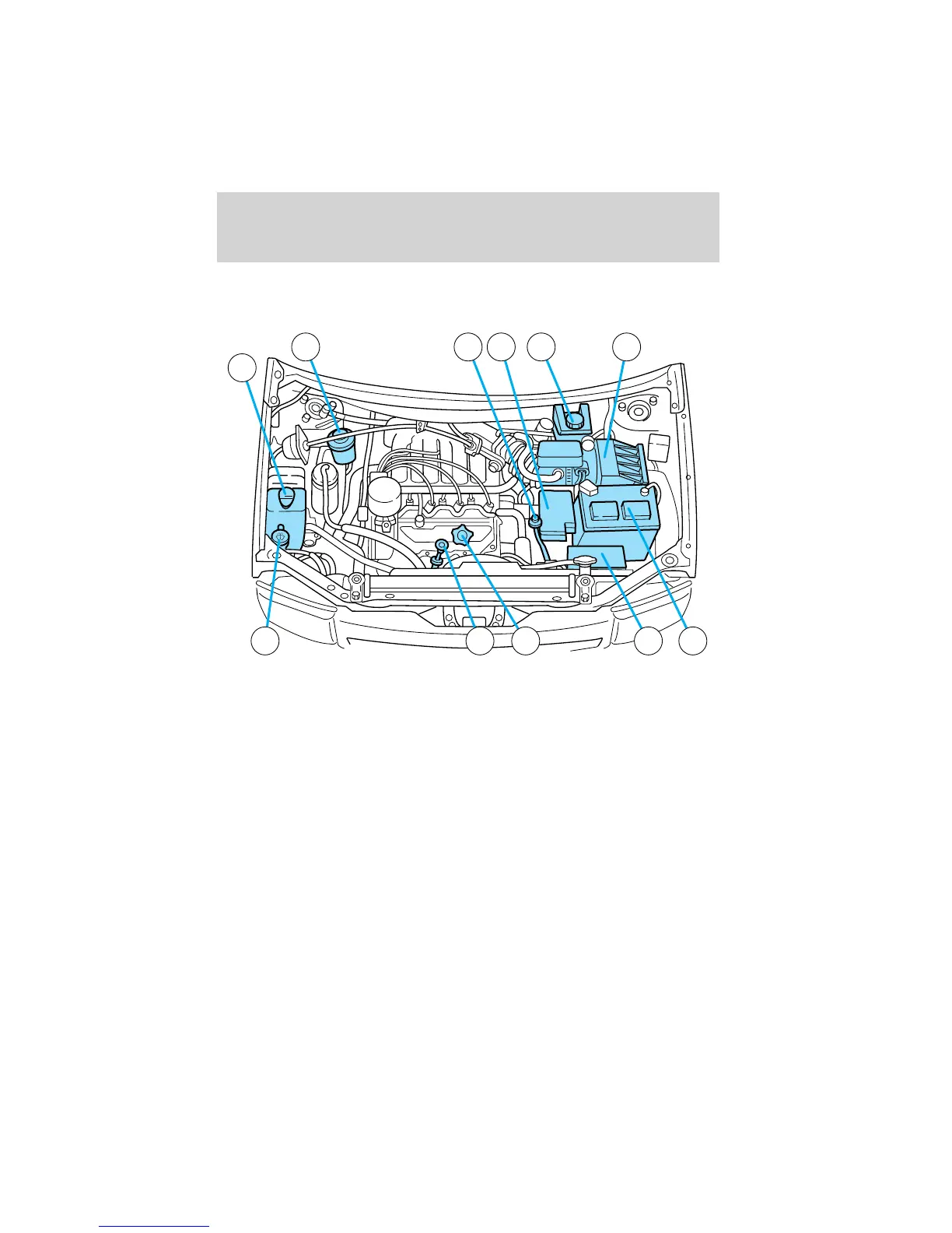 Page #216 background image